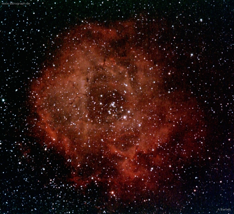 090126_rosetta-nebula.jpg