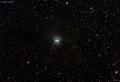 100811_ngc7023_iris-nebula-final.jpg