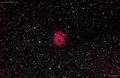 110830_ic5146_cocoon-nebula.jpg