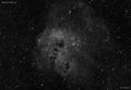 120225_ic410_tadpole-nebula-ha.jpg