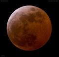 img_0038_lunar-eclipse_040307.jpg