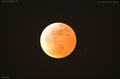 img_0042_lunar-eclipse_040307.jpg