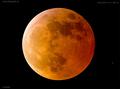 img_0049_lunar-eclipse_040307.jpg