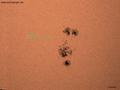 110310_sunspot-1166_wl.jpg