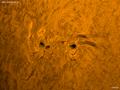110325_ar1176.jpg