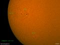 110325_sun_ha.jpg